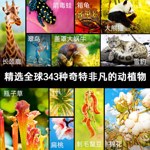 【连叔好货】德国少年儿童动物/植物大百科精装什么是什么系列2024年重磅上新7-14岁小学生儿童科普单本精装大百科 商品图3