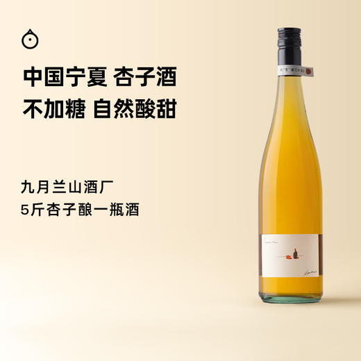 企鹅市集|宁夏九月兰山 杏子酒果酒750ml 5斤杏子酿出1瓶酒 风味饱满不加糖 商品图0