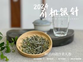 【2024春茶来了】2024有机银针，鲜竹叶香、花香、稻谷香，茶汤如清泉般清透，犹如鲜香浓郁的清冷美人！