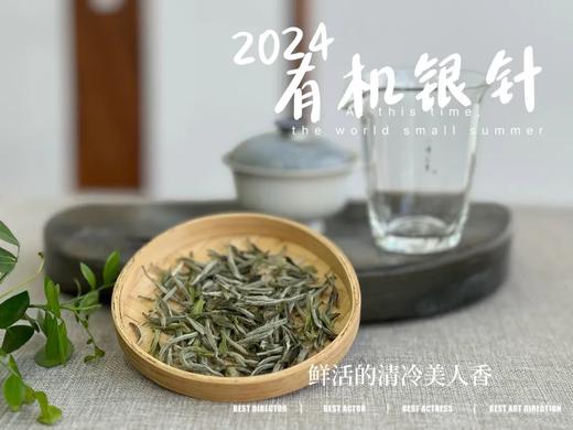 【2024春茶来了】2024有机银针，鲜竹叶香、花香、稻谷香，茶汤如清泉般清透，犹如鲜香浓郁的清冷美人！ 商品图4