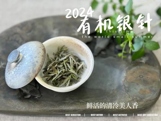 【2024春茶来了】2024有机银针，鲜竹叶香、花香、稻谷香，茶汤如清泉般清透，犹如鲜香浓郁的清冷美人！ 商品图5