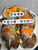 xm肥到爆炸的红膏蟹~只只都是母蟹 满膏满黄，全国活寄到家！零度以下城市-活冻发货-品质一样 商品缩略图0