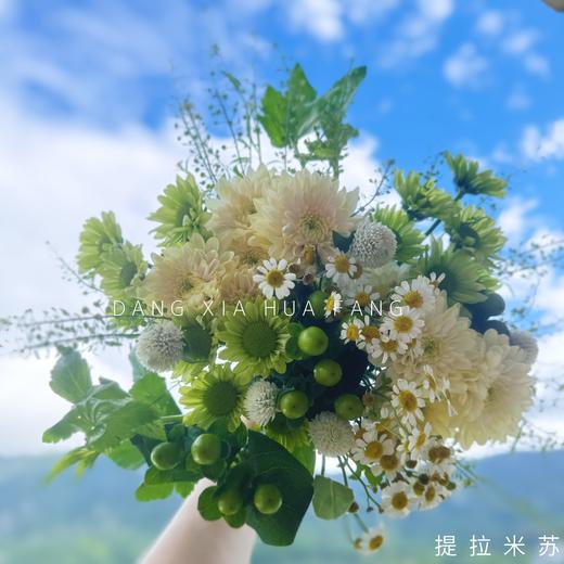 【绿野仙踪】香草沙拉小雏菊2支+绿精灵小雏菊3支+绿豆1支+白色千日红1支+洋甘菊2支+绿灵草1支（提拉米苏设计） 商品图1