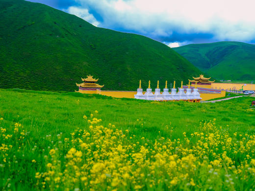 【九色甘南】莲宝叶则•扎尕那•郎木寺•九曲黄河第一湾•若尔盖草原•拉卜楞寺风光人文10天 商品图1