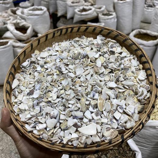 海蛤壳 商品图2