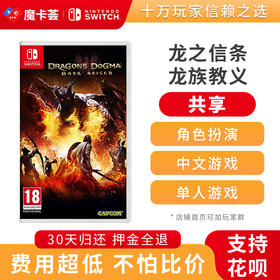 【共享】龙之信条 龙族教义  -Switch1代游戏卡3-2-03