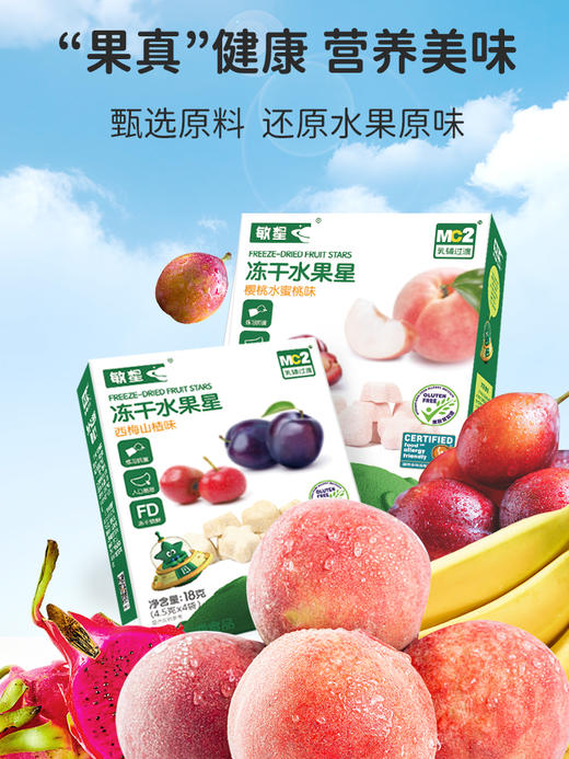 本丁敏星冻干水果星西梅山楂 商品图2
