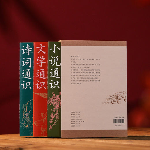 《中国文学通识》典藏版函套3册丨北大、西南联大、清华等14位文学大家写给大众的中国文学通识课！ 商品图3