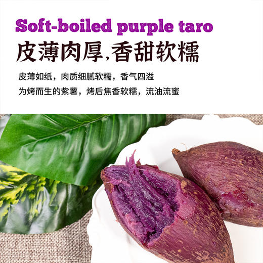 糖心紫薯4.5斤（509项农残0检出） 商品图4