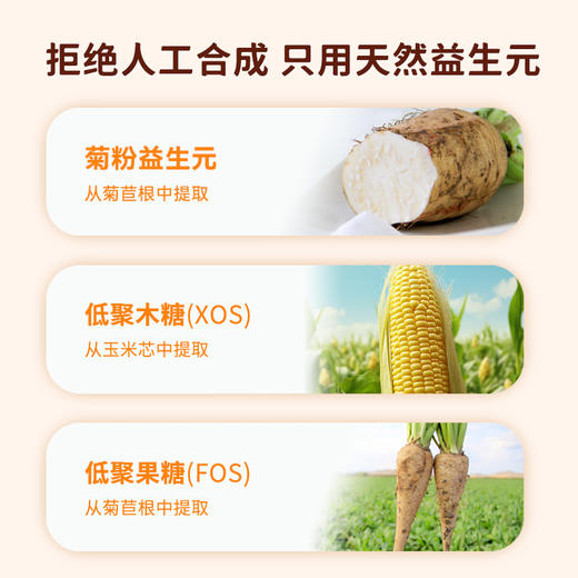 【经典小黄盒】vilof维乐夫益生元型膳食纤维 菊粉 低聚果糖 低聚木糖 5g*30条/盒 商品图2