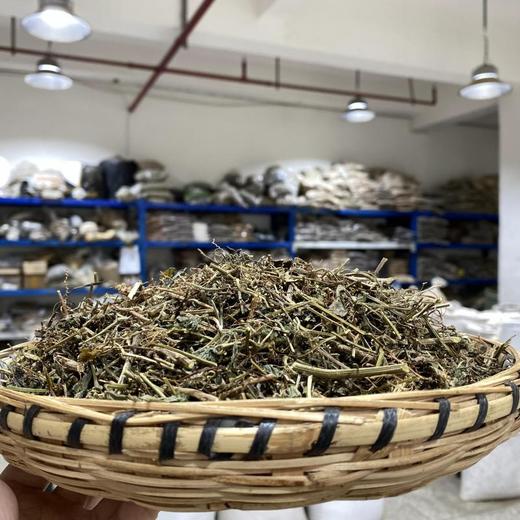 绞股蓝 商品图1