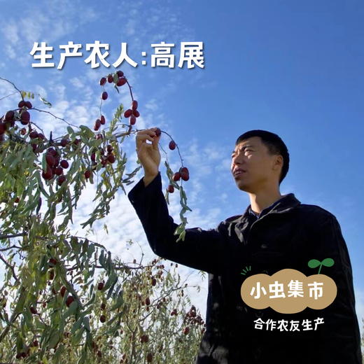 有机姜枣膏 250g/瓶 | 合作农友生产，来自河南郑州，生产者：高展 *【公平贸易农人定价】 商品图3