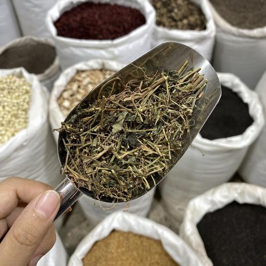 绞股蓝 商品图3