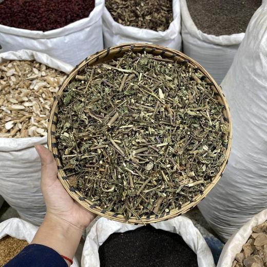 王不留行草 商品图0