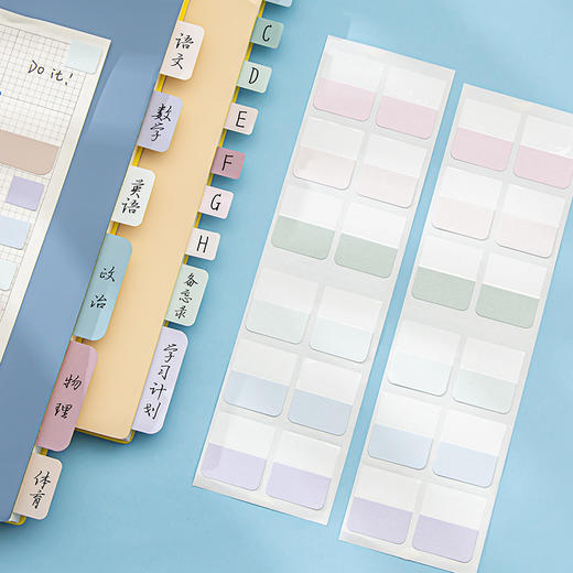 天色 复古色索引贴 TS-4329 (45*28mm,60枚）大号 商品图0