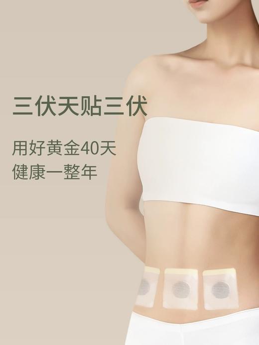冬病夏治！后辰艾草三伏贴 祛寒排湿 草本精粹 温养艾灸穴位 商品图3