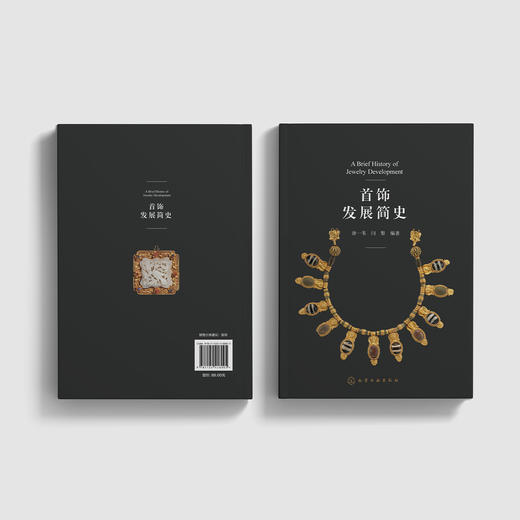 《首饰发展简史》 商品图11