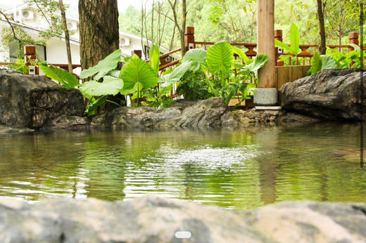 旗山国家森林公园 商品图0