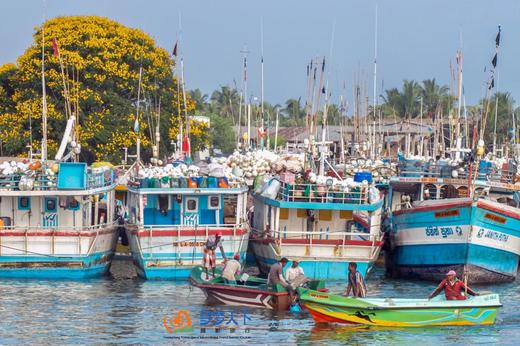 【斯里兰卡】佛牙节舍利荣光盛典人文风光8天摄影<环球寻梦> 商品图9