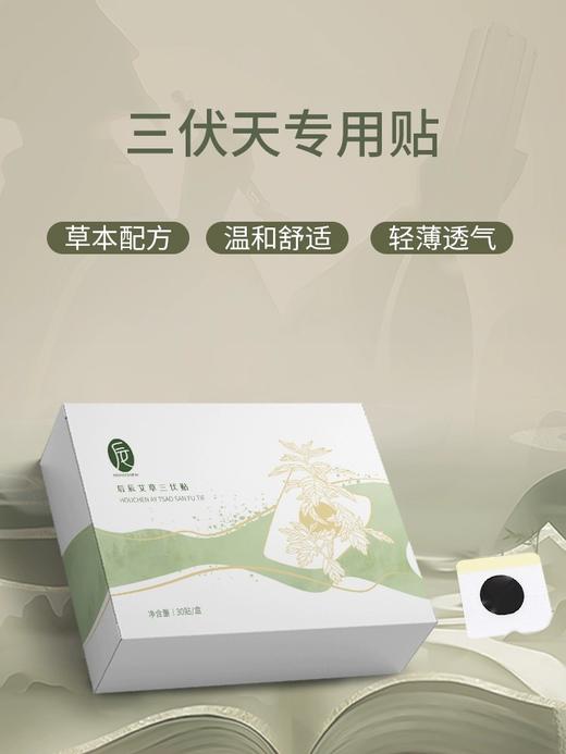 冬病夏治！后辰艾草三伏贴 祛寒排湿 草本精粹 温养艾灸穴位 商品图2