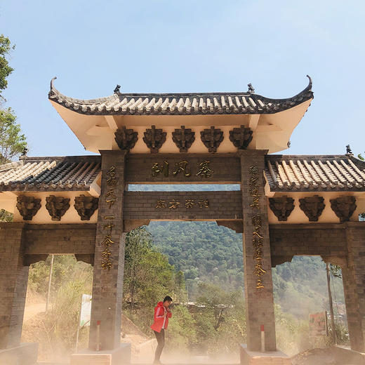 10月1日晚上20点【刮风寨】2021年古树纯料古寨春总茶师宣哥私藏老料“汤又厚又劲，气又野又足” 200g/饼 5饼/提 数量不多，先抢先得！！ 商品图1