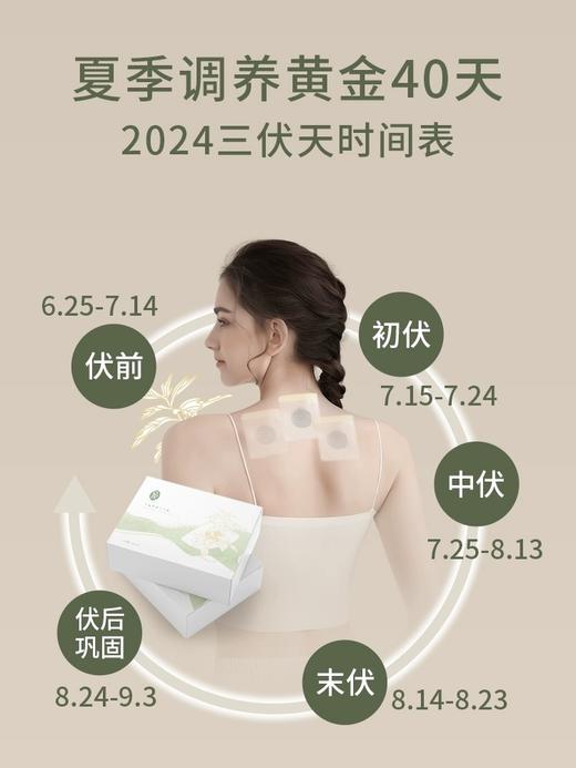 冬病夏治！后辰艾草三伏贴 祛寒排湿 草本精粹 温养艾灸穴位 商品图0