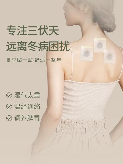 冬病夏治！后辰艾草三伏贴 祛寒排湿 草本精粹 温养艾灸穴位 商品图1