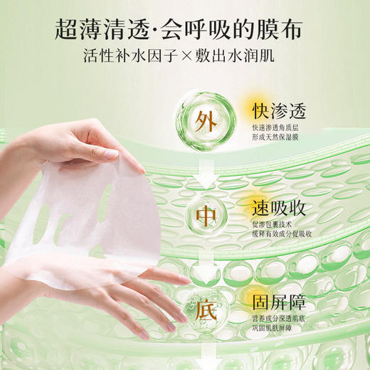 【2盒36.9丨6盒79.9】千纤草丝瓜/茶树面膜贴10片/盒 商品图2