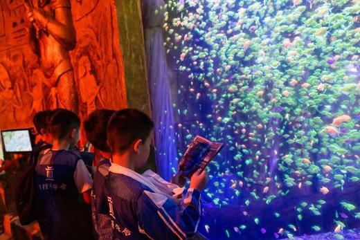 【智行研学】7月22日“海洋环保小卫士”暑期研学活动 商品图4