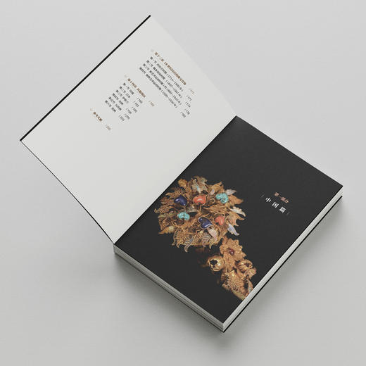 《首饰发展简史》 商品图9