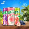 中国台湾绿力系列果味饮料多种果味醇厚口感 野餐聚餐必备 020577/025272/025273/025274/025275/025276 商品缩略图2
