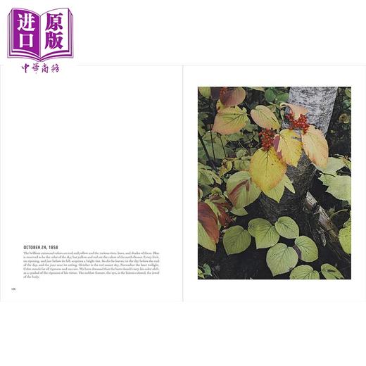 预售 【中商原版】In Wildness Is the Preservation of the World 进口艺术 摄影师Eliot Porter 世界存于荒野 商品图2