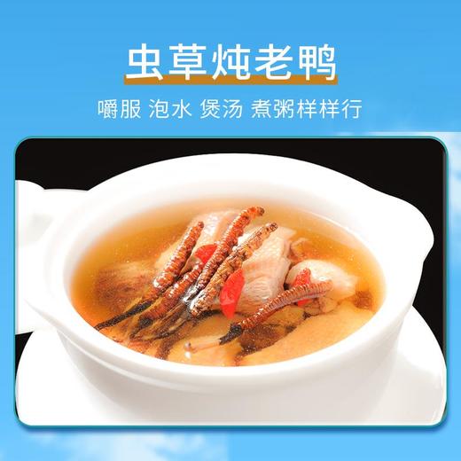 【现挖西藏鲜虫草】季节限定福利高端滋补补充满满能量 商品图5