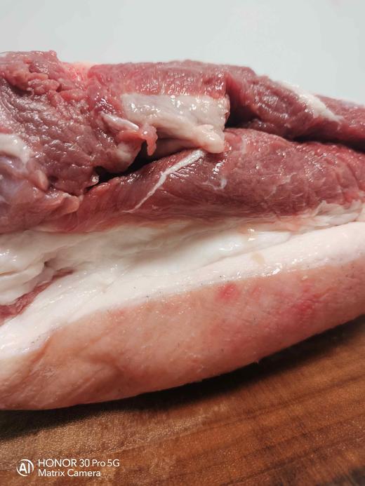 山林放养一年的藏香猪 商品图1