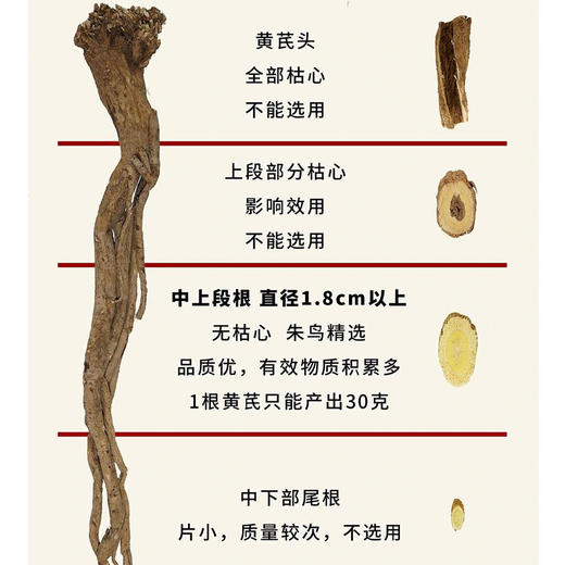 西藏野生黄芪 商品图4