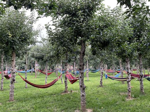 1日营 亲子自驾研学营 | 2大1小1天488元 拍下请提前1天预约 含1天所有费用 专业老师带队 商品图5