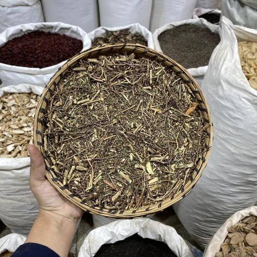 石椒草 商品图0