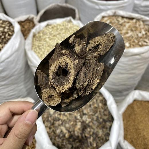 漏芦 当季新货 中药材 商品图3