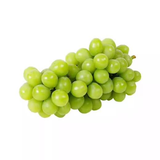 阳光玫瑰葡萄1000g 商品图0