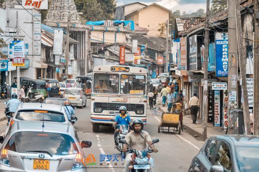 【斯里兰卡】佛牙节舍利荣光盛典人文风光8天摄影<环球寻梦> 商品图13