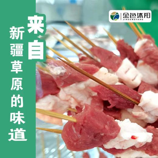 新疆精品羊肉串（有机方式养殖） 商品图1