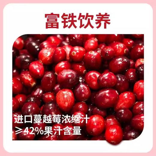 【818积分当钱花】英贝健蔓越莓汁美颜日记富铁500ml*2瓶(限24年12月） 商品图1