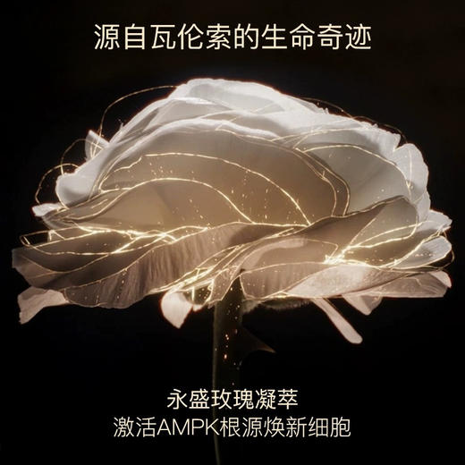 【中小样】兰蔻新黑金臻宠滋养精华乳5ml 商品图4