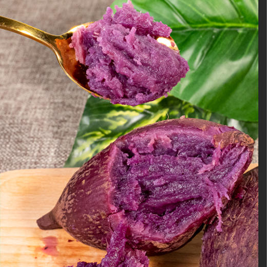 糖心紫薯4.5斤（509项农残0检出） 商品图1