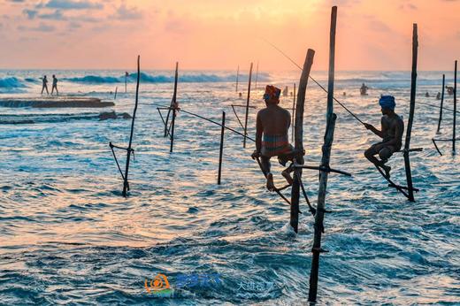 【斯里兰卡】佛牙节舍利荣光盛典人文风光8天摄影<环球寻梦> 商品图1