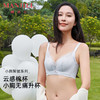 【商场同款】熳洁儿 云之羽系列内衣小胸聚拢舒适云感棉内衣简约时尚蕾丝中厚杯24201516 商品缩略图0