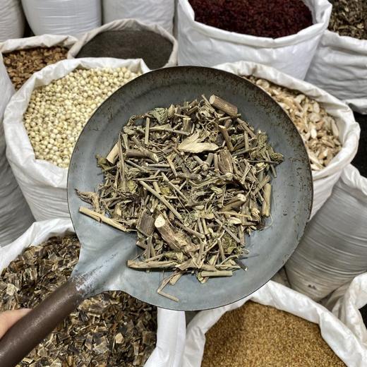 磨盘草 商品图3