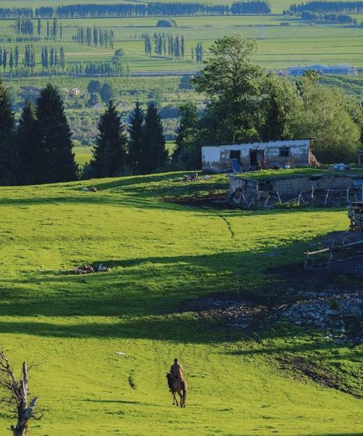 北疆全景·独库公路·深度8天游！ 商品图7