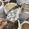 海蛤壳 商品缩略图1