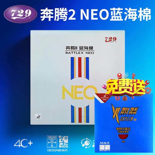 友谊729NEO尼奥奔腾2省套蓝海绵奔腾二乒乓球拍胶皮反胶套胶尼奥 商品图0